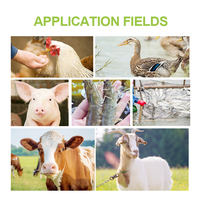 Sunway Feed Additives Vitamin Premix Powder Feed Fish Premix for Fish Growth Booster