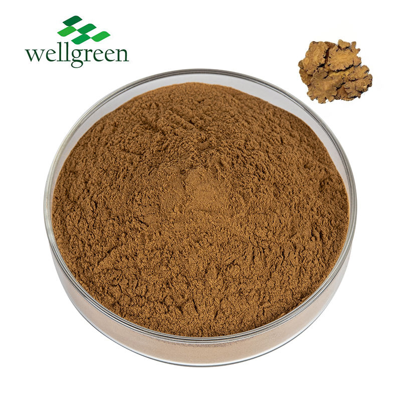 Wellgreen Chinese Traditional Herb Rhizoma Chuanxiong Ligusticum Wallichii Extract