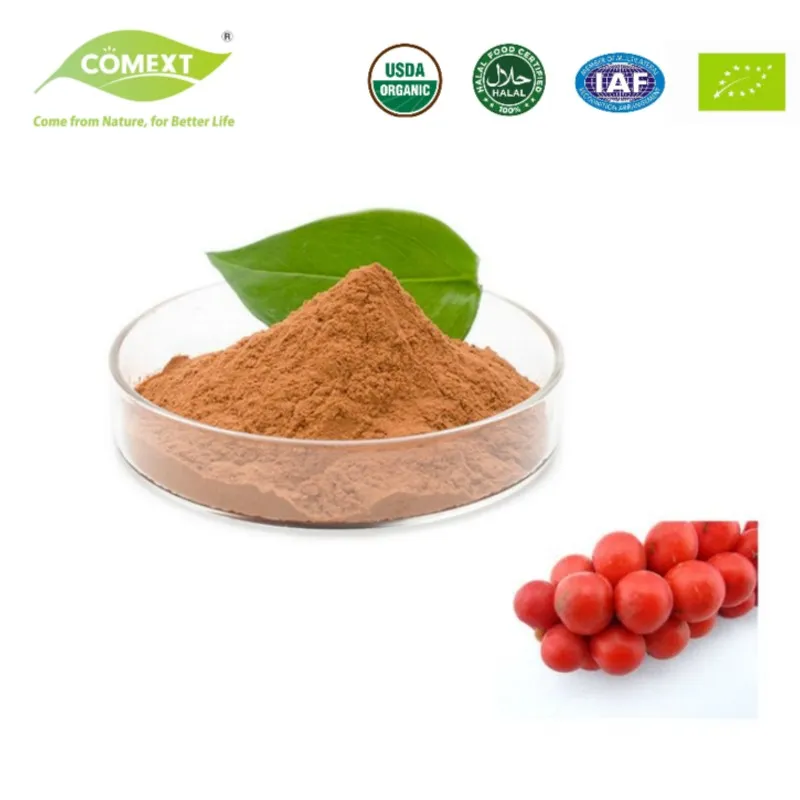 Schisandra Chinensis Product Image