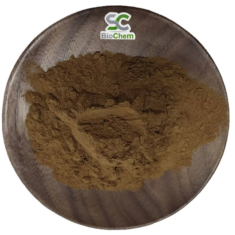 Organic Ganoderma Mushroom Plant Extract Reishi Herbal Powder Extract