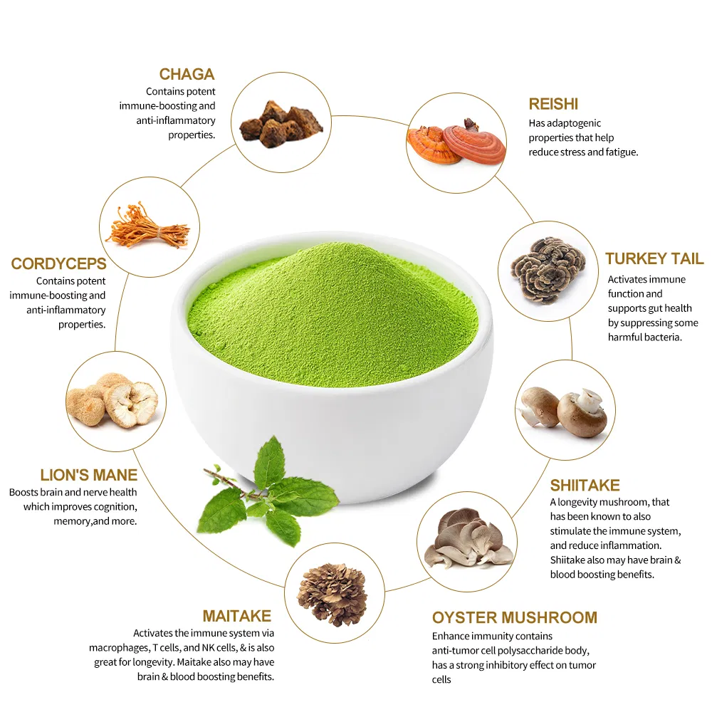 Mushroom Extract Powder 6