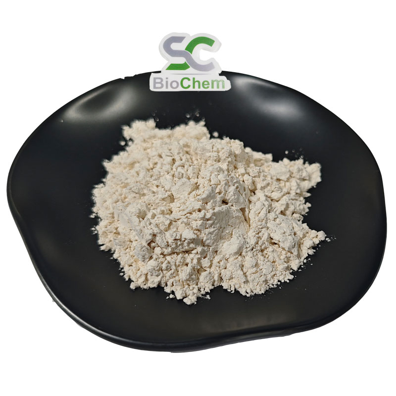 Tiger Milk Mushroom Extract Grinded Powder Tigermilk Mushroom Powder