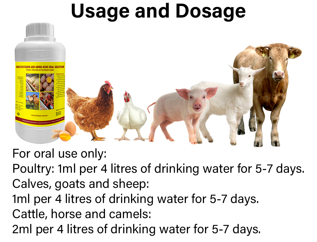 Poultry Multivitamin Oral Solution Veterinary Medicine Vitamin Supplements for Chickens