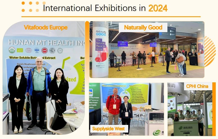 Factory Supply Traditional Chinese Herbal Extract Free Sample 100%Pure Saponins Asparagus Extract