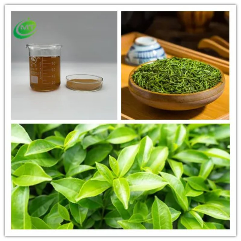 Factory Price Green Tea Extract Instant Food Grade Green Tea Powder