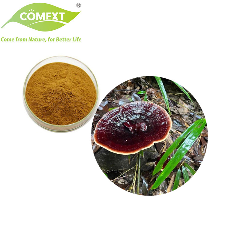 Comext Factory 100% Natural Organic Reishi Mushroom Herbal Powder Ganoderma Plant Extract