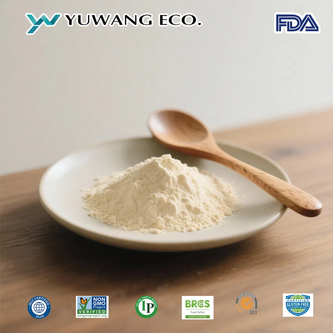 Nutrition-Enhanced Soy Protein Powder Nutritional Additive for Healthy Beverages High Water Absorption &amp; Emulsifying Properties