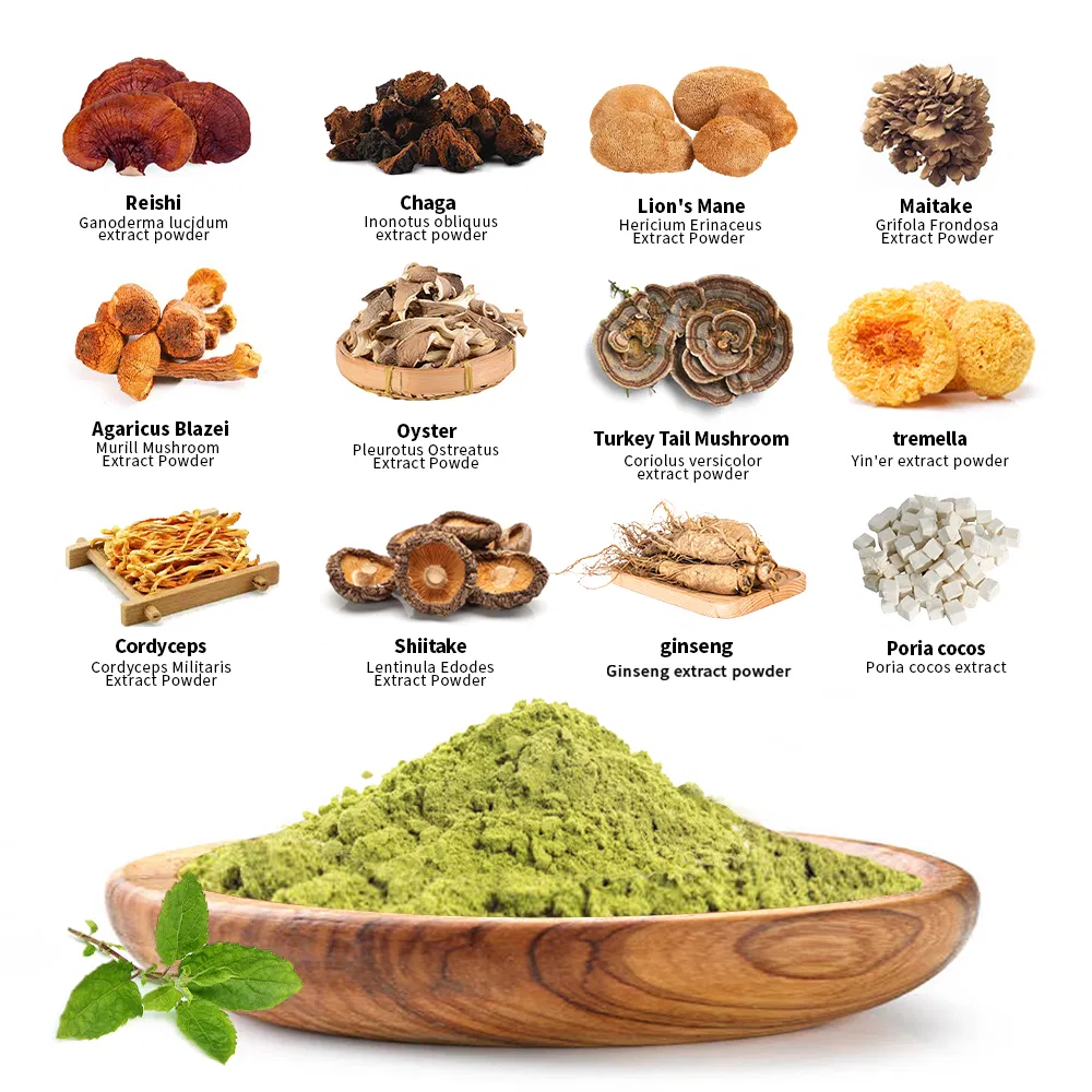 Mushroom Extract Powder 5