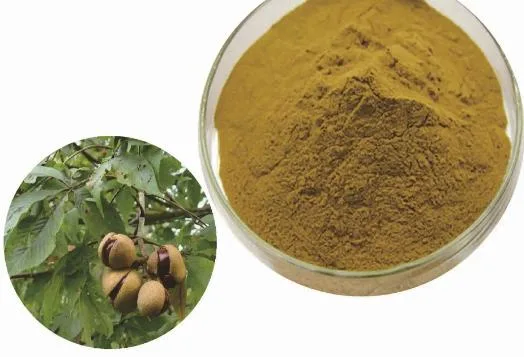 Horse Chestnut Extract Powder with Escin Extract Powder 10: 1, 20: 1, 30: 1; Water-Soluble Spray-Dried Powder, Varying Ratios. Herbal Extract. Plant Extract
