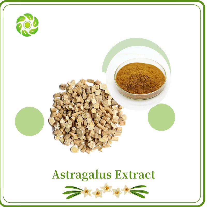 Plant Extract/Astragalus Extract/Astragalus Polysaccharide 30% 50% 98%/Astragaloside 10% 98%/Astragalus Root Extract Powder