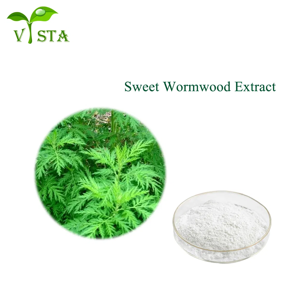 100% Natural Plant Extract Water Soluble Artemisinin Powder Sweet Wormwood Extract