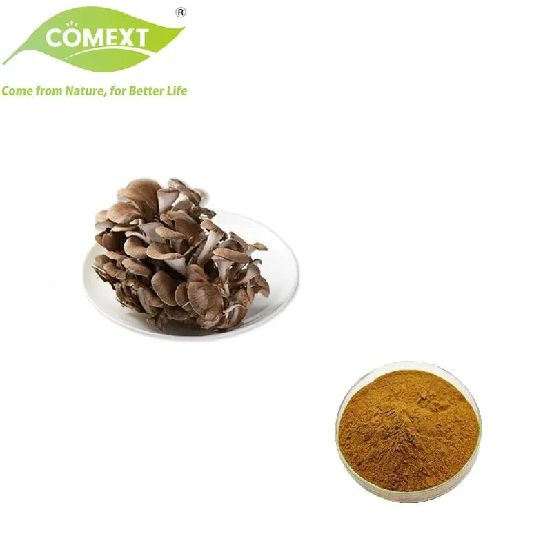 Natural Maitake Mushroom Extract Powder