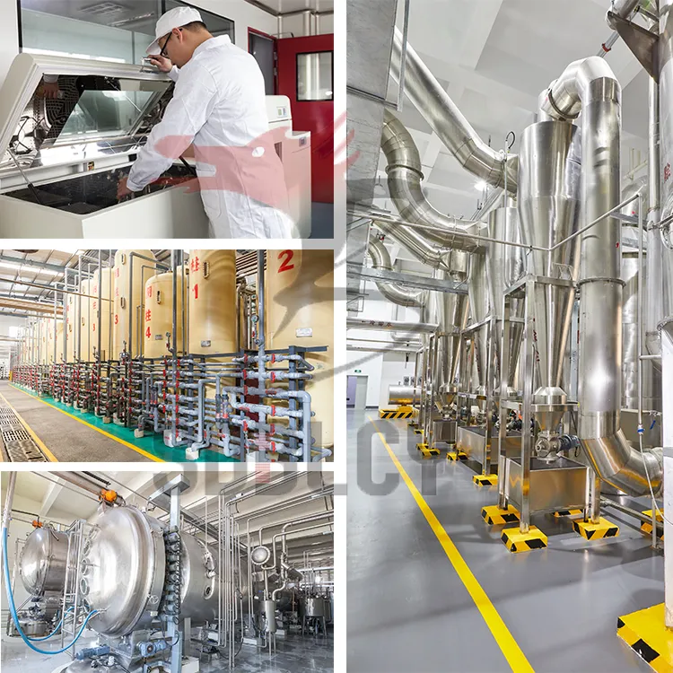 Factory Production Line