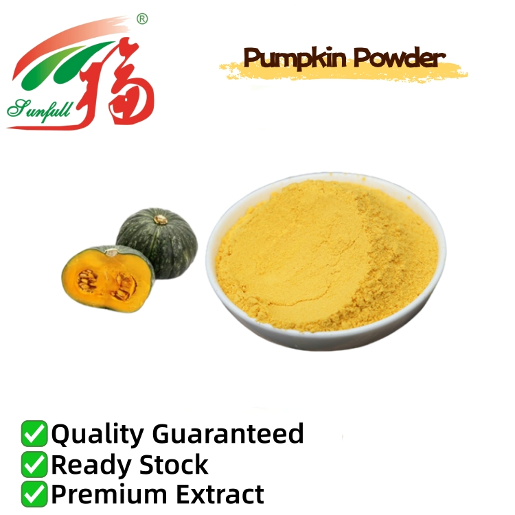 Pure Pumpkin Powder Natural Plant-Based Food Ingredient