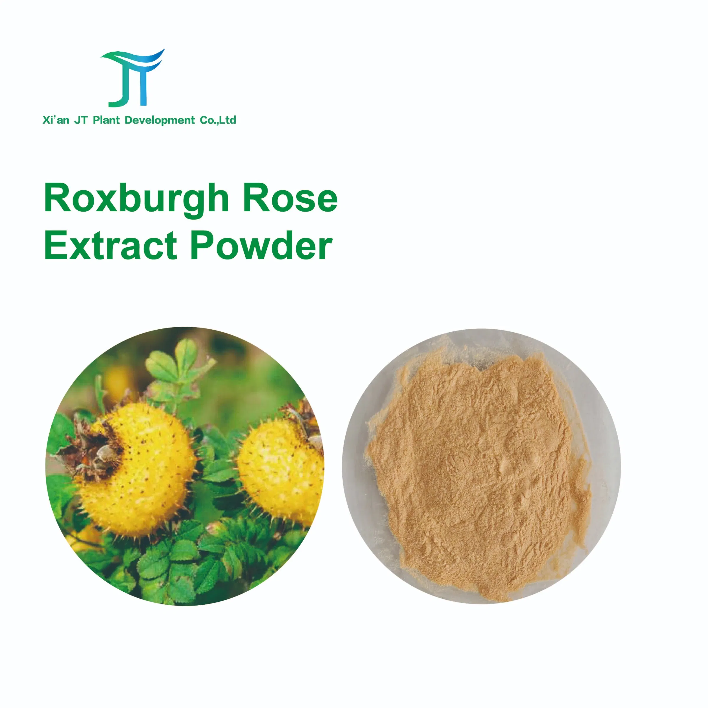 Natural Plant Extract SOD Vitamin C Rosa Roxburghii Extract Powder