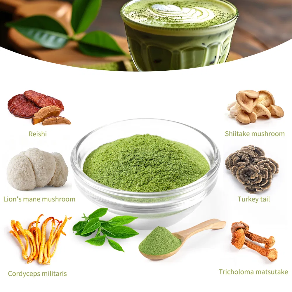 Mushroom Extract Powder 4