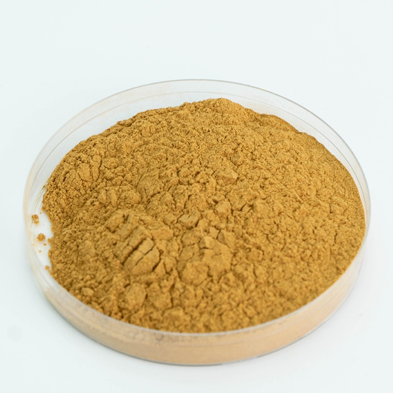 Antibacterial Traditional Chinese Medicine Polysaccharide Astragali Root Extract