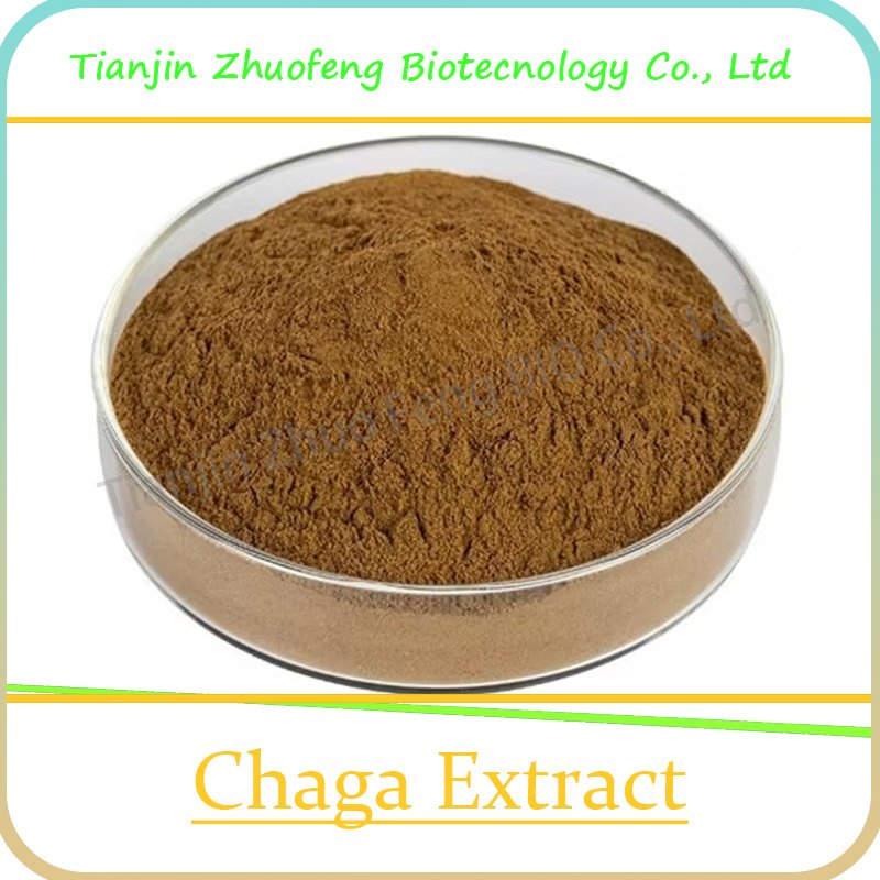 Natural Plant Extract Organic Chaga Mushroom Extract for Anti-Cancer Herb Herbal