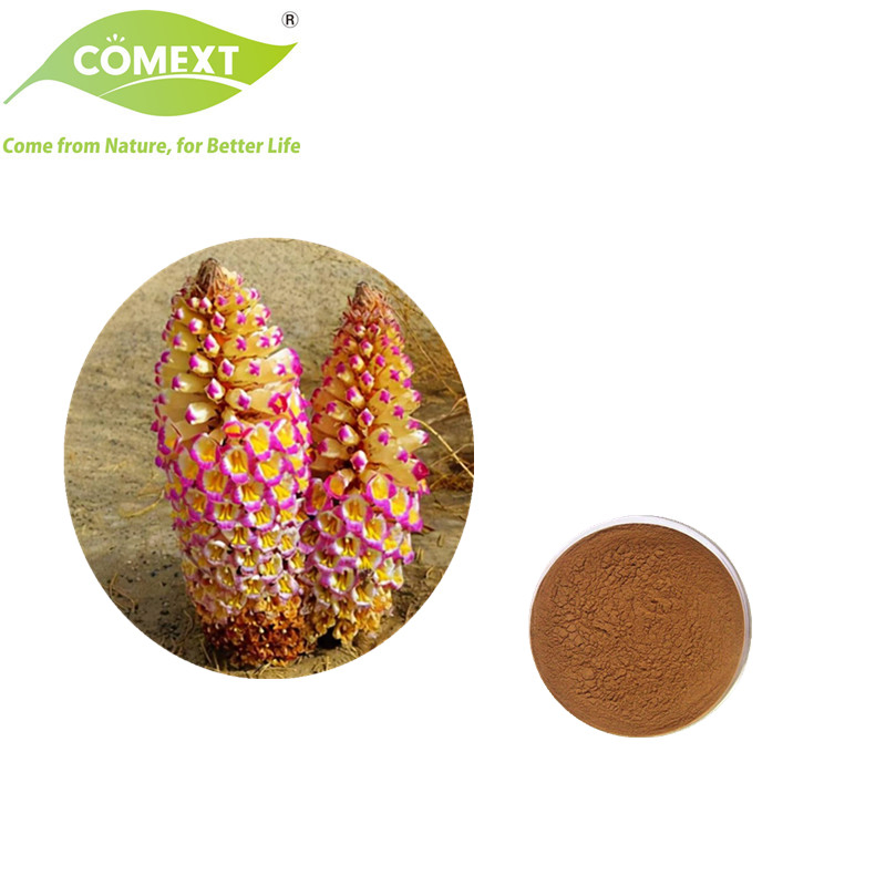 Comext Traditional Chinese Medicine Herb Extract Health Food Increase Male Functional Cistanche Tubulosa