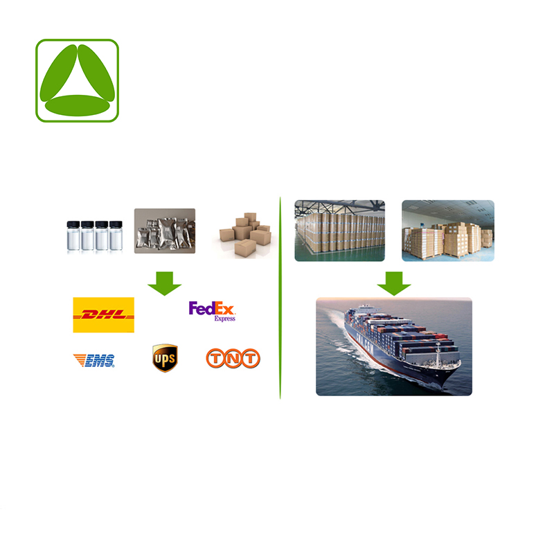 Chinese Traditional Herb Isatis Root Powder Isatis Root Extract Powder