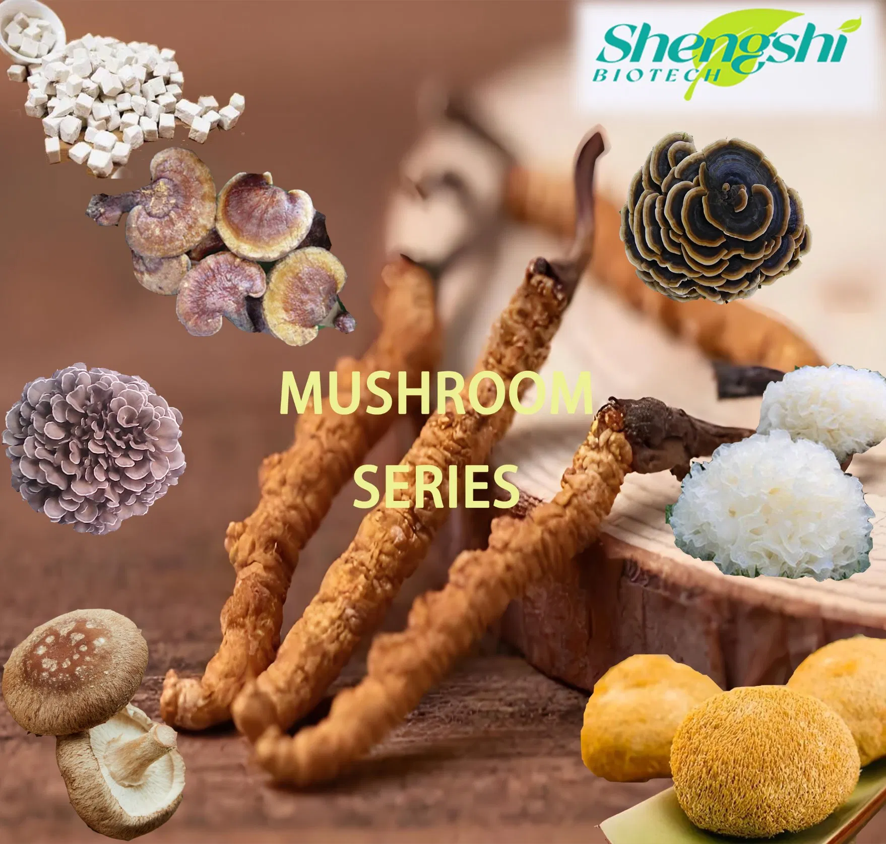 Factory Supply Natural Plant Extract, Herbal Extract, Chinese Medicine Extract, Ratio Extract, Mushroom Extract, OEM/ODM