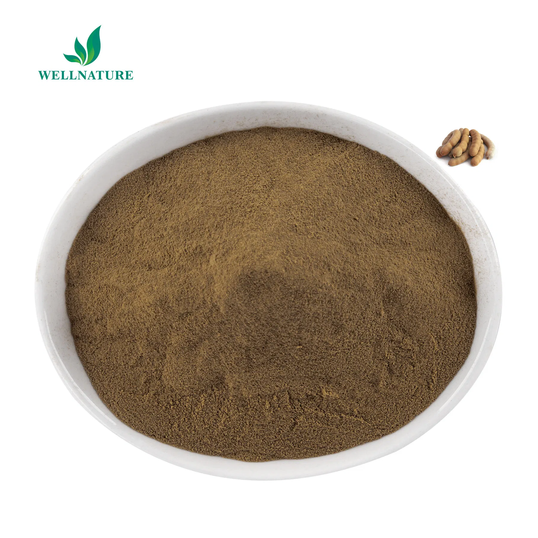 Natural Herbal Extract Raw Material Tamarind Seed Powder Dried Tamarind Extract