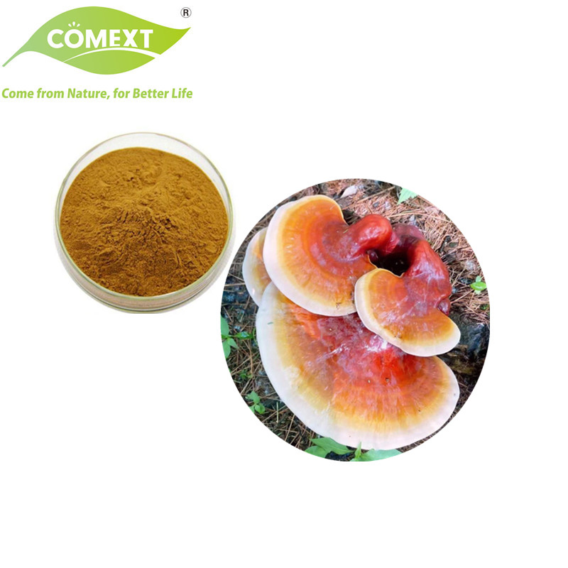 Comext Factory 100% Natural Organic Reishi Mushroom Herbal Powder Ganoderma Plant Extract
