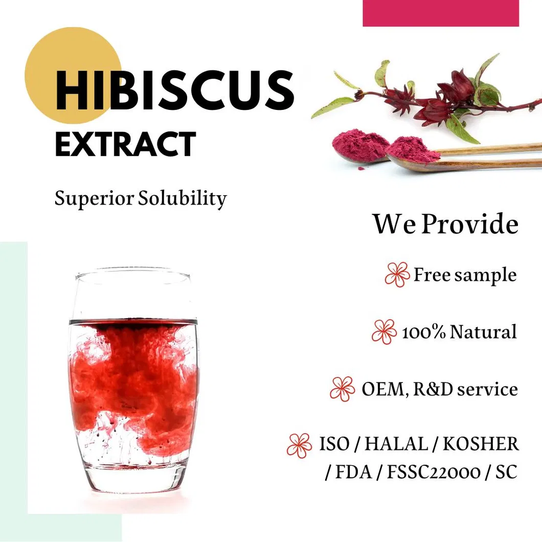 Hibiscus Extract Powder