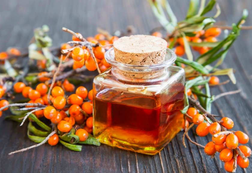 Plant Extract Seabuckthorn Oil Extract for Reduce Cholesterol