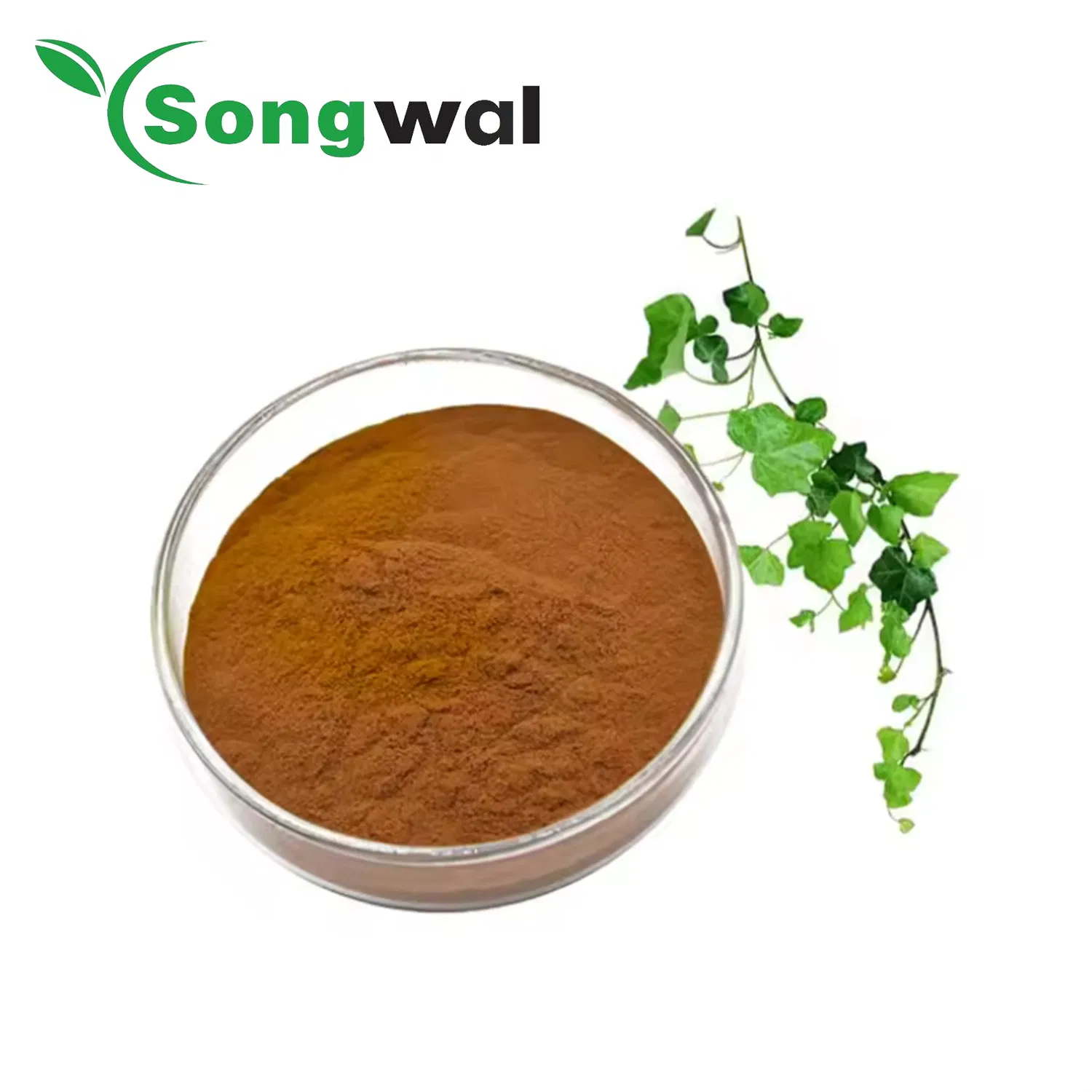Factory Price Water Soluble Cough Syrup 100% IVY Leaf Herbal Plant Extract