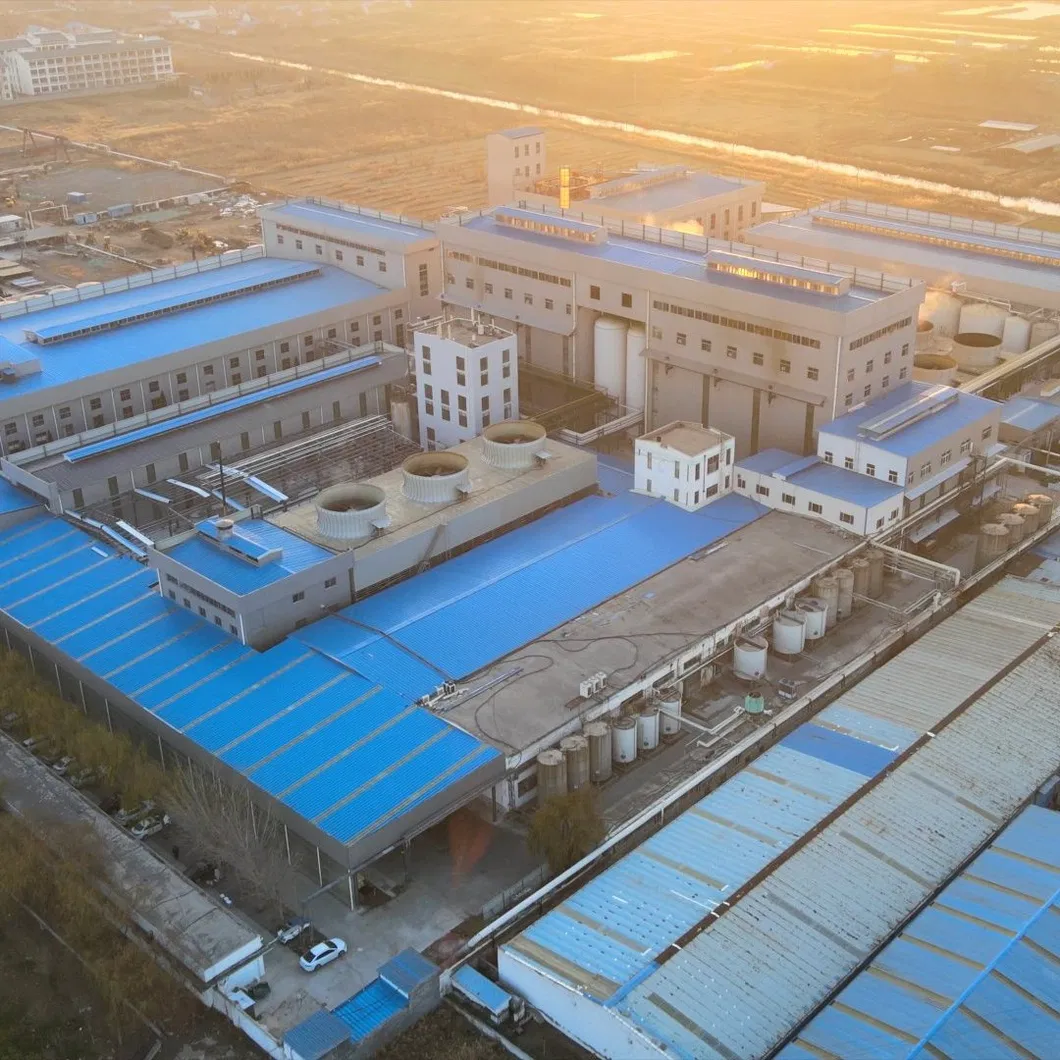 Allulose Product Display