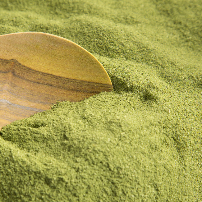 Matcha Extract Powder Mushroom Mint Flavour Matcha Powder