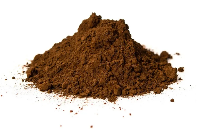 Premium Organic Chaga Mushroom Extract Powder