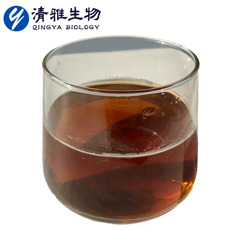Black Tea Extract
