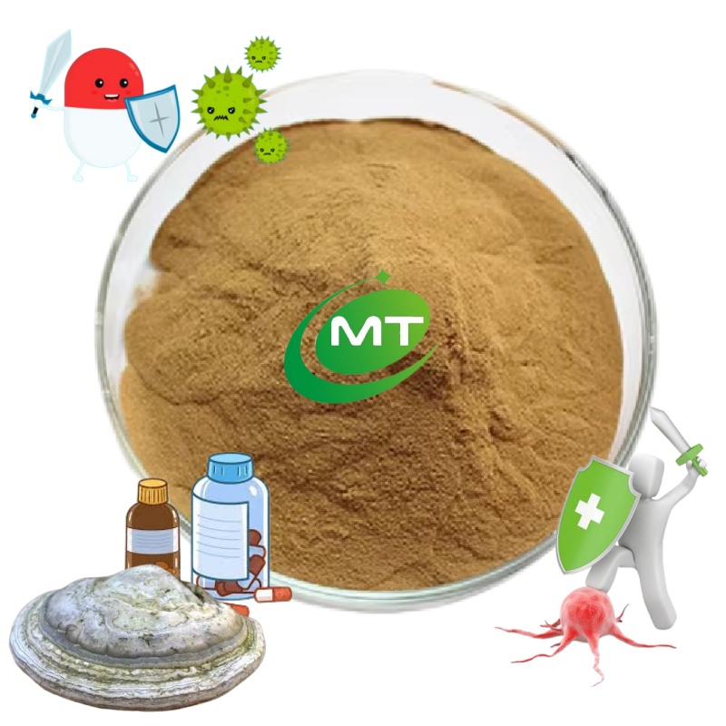 Free Sample Antiviral Antibacterial &amp; Anti-Inflammatory Agarikon Mushroom &amp; Mycelium Extract Powder