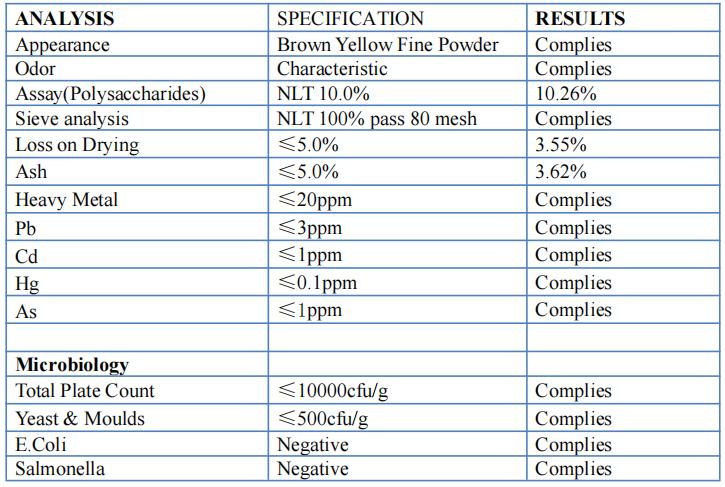 Good Price Quality Herbal Powder Chaga Mushroom Extract Powder with 10% Polysaccharides