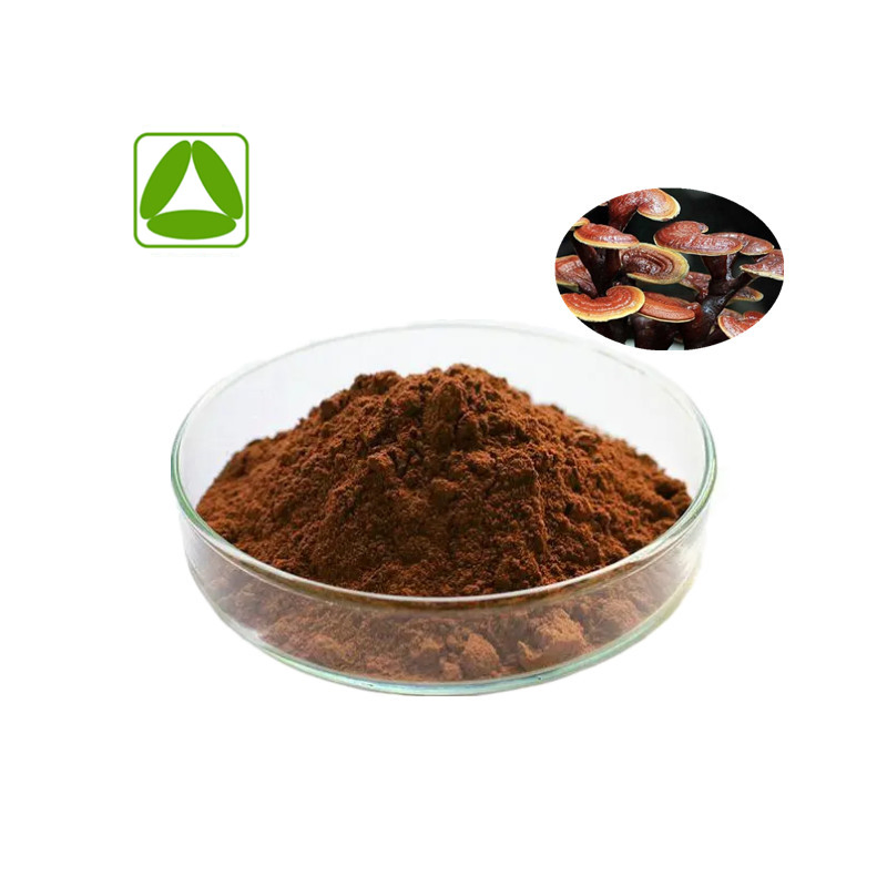 Natural Reishi Mushroom Extract Powder for Enhanced Wellness and Longevity