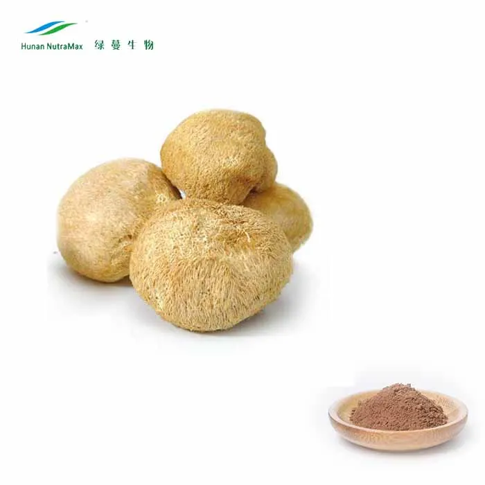 Hericium Erinaceus Extract Powder