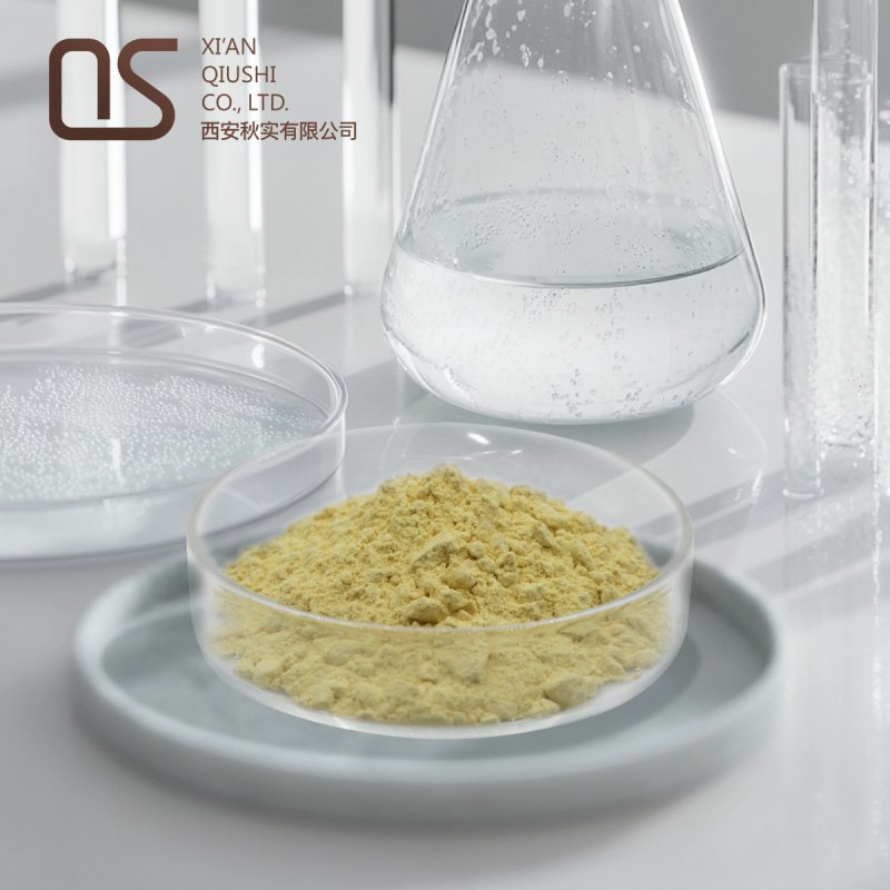 Selaginella Tamariscina Extract Amentoflavone Cosmetic Ingredient Amentoflavone