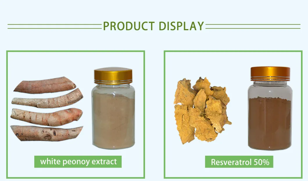 Herbal Extract Display