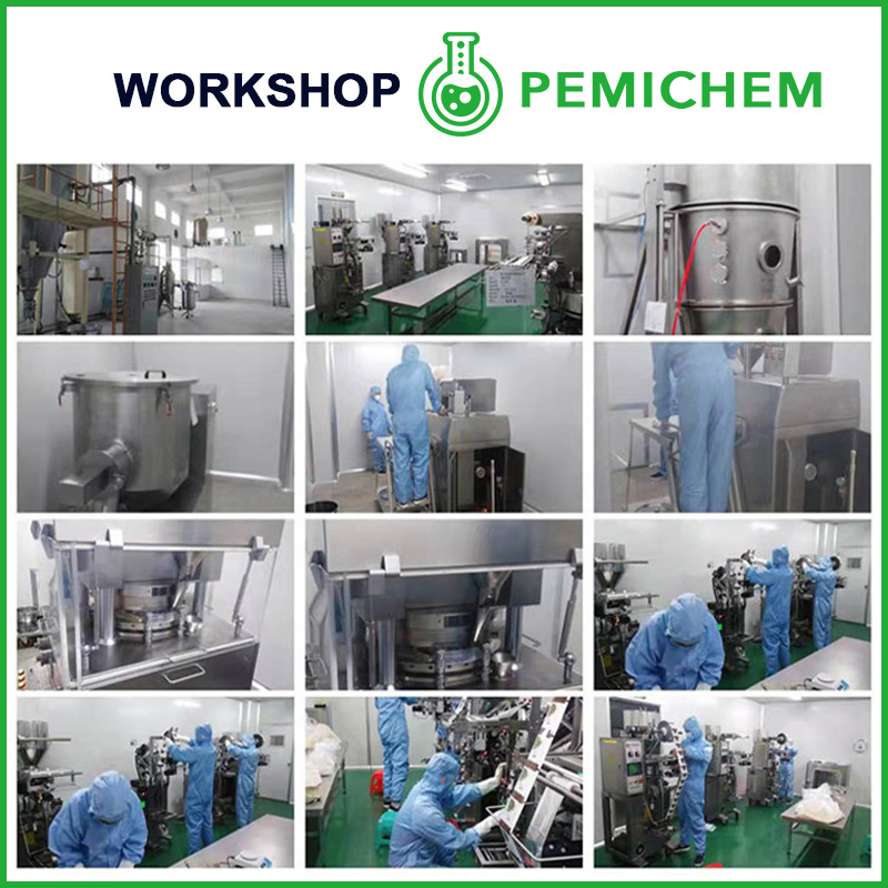 Shanghai Pemichem Lab Supply Raw Materials Pharmaceutical Intermediates Powder Anisodamine CAS 17659-49-3 with 99% Pruity