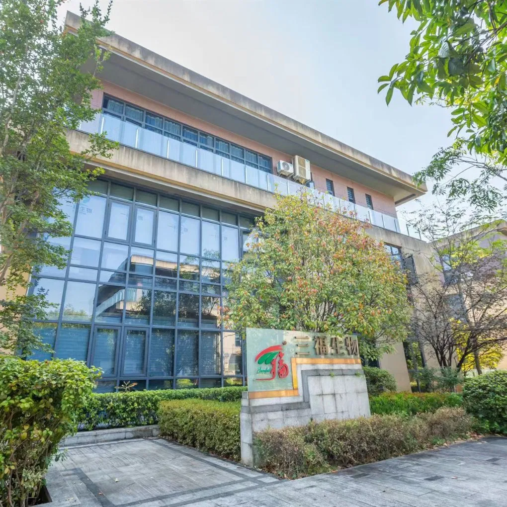 SGS Certificated 100% Natural Instant Green Tea Powder