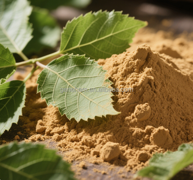 Organic 5% Dnj Mulberry Leaf Extract Wholesale Halal Certified Competitive Price Plant Extract