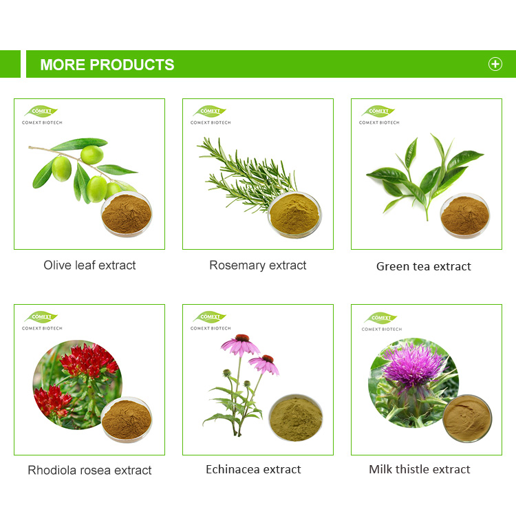 Comext Manufacturer Free Sample Traditional Chinese Medicine Organic HPLC 10% 80% Ginsenosides Polysaccharides Powder Red Korean Plant Panax Ginseng Extract