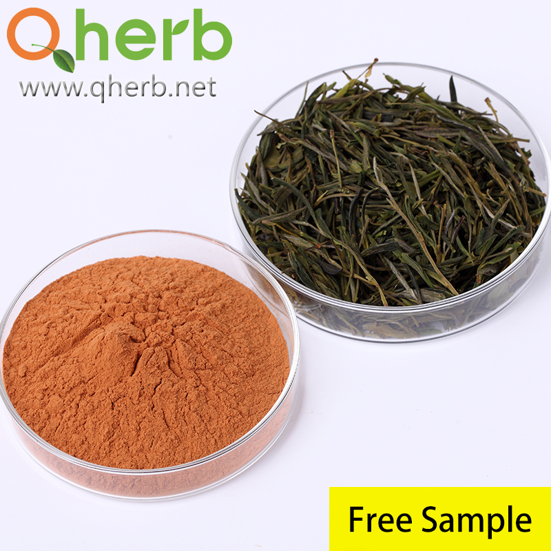 Natural Food Grade Tea Polyphenols EGCG Green Tea Extract Herbal Plant