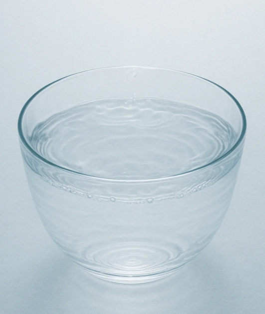 Inhibition Blood Glucose Increase Resistant Fiber Syrup – Functional Food Ingredient