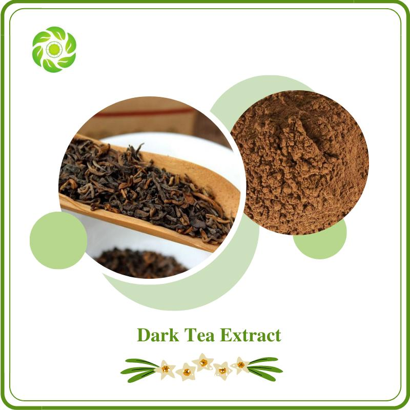 World Well-Being Biotech ISO&FDA Certified High Quality Instant Water Soluble Dark Tea Extract Powder