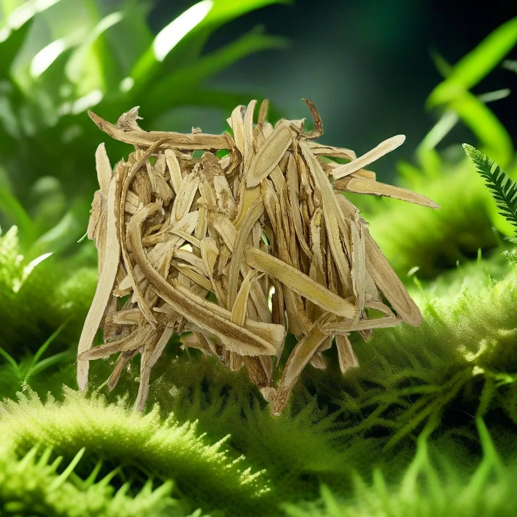 Astragalus Slices