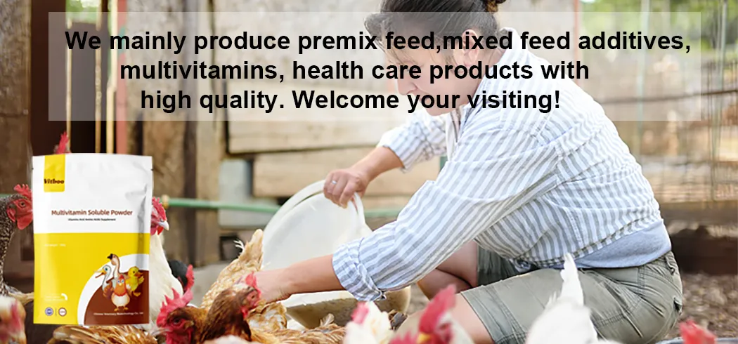 Vitamin Supplements Overview