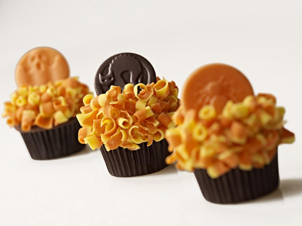 Fiber Resistant Dextrin Corn and Tapioca Raw Material Powder and Syrup Water